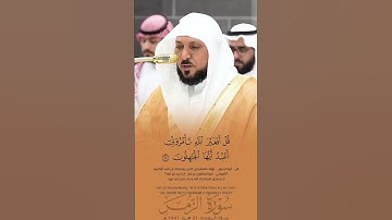 #ماهر_المعيقلي #سورة_الزمر 21 محرم 1447هـ. #اكسبلور #تيك_توك #قرآن #ماهرالمعيقلي #لايك