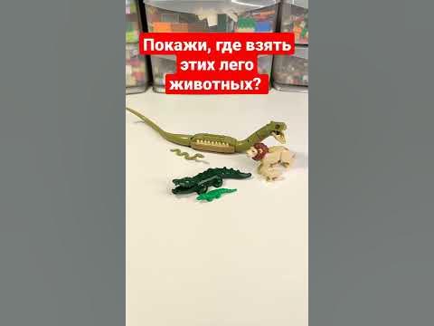 Где взять всех этих лего животных? #shorts #lego #animals #bricklady ...