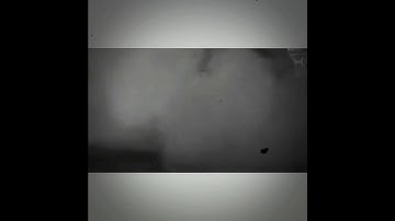Thumbnail of محمد السالم