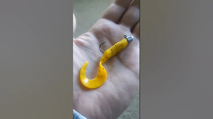 How to Rig a Soft Plastic PROPERLY | Quick Tutorial for Perfect Presentation !!