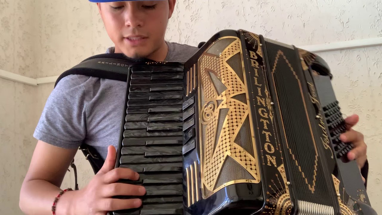 2 Adornos perrones en (acordeón de teclas) tono de sol