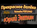 Прекрасное далеко на синтезаторе Yamaha PSR E443 Аккорды