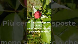 "Il rumore che copre tutto"#RitmoNaturale #Consapevolezza #CrescitaPersonale #Benessere #Mindfulness