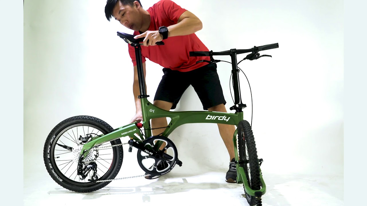 pacific folding bike