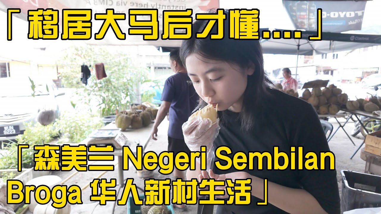 移居马来西亚后才懂｜森美兰小镇的生活成本和人情味，真的太真实了！一档榴莲摊，养活三代人