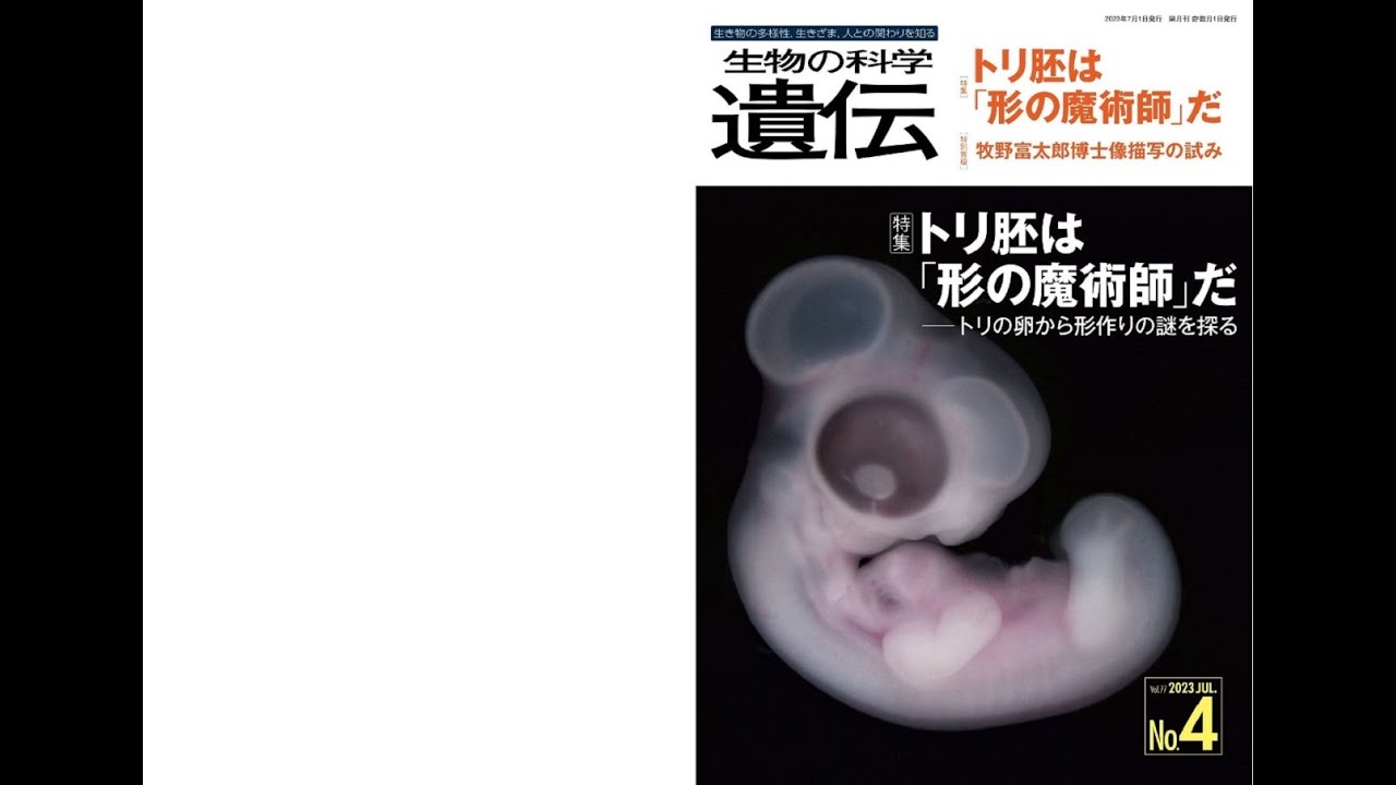 生物の科学 遺伝 2023年7月発行号 Vol.77 No.4 特集 トリ胚は「形の