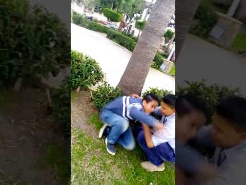 سجنوك حبيبي يابا