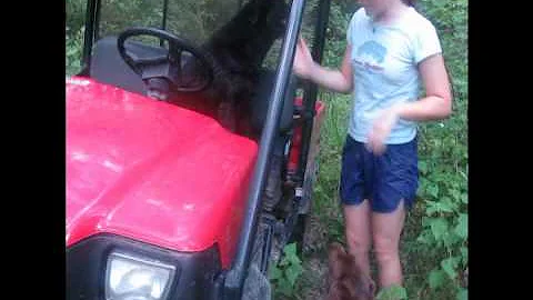 WILDLIFE ADVENTURES WITH LILLIAN BARBER
