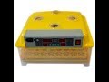 АВТОМАТИЧЕСКИЙ ИНКУБАТОР ДЛЯ ЯИЦ WQ-48/AUTOMATIC INCUBATOR FOR EGGS WQ-48