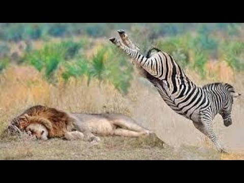 Foydalanuvchilar tomonidan suratga olingan uy qurilishi jinsiy aloqa videolari