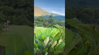 This view🌋😍 #volcano #travel #shorts #costarica #nature #beautiful #viral