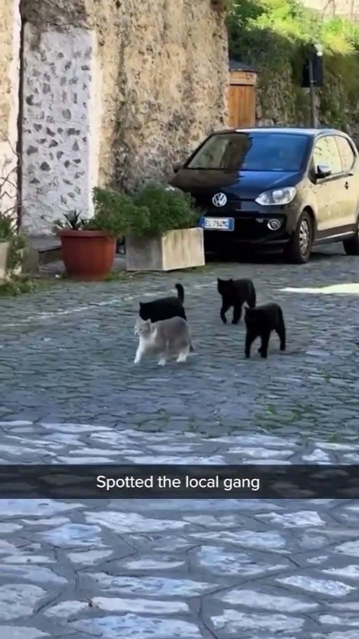 The gang was spotting blasting down prvnci before the show 3/20