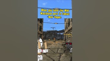 When you have the Wild Wasteland perk in fallout new vegas: #fallout #memes #shorts