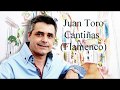 Juan toro  flamenco cantias