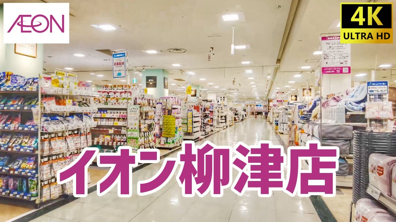 【岐阜県】 イオン柳津店を歩く AEON / Shopping Mall Walking Tour 【岐阜市】