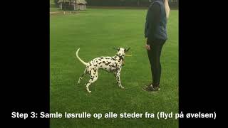 Indlæring af bringsel