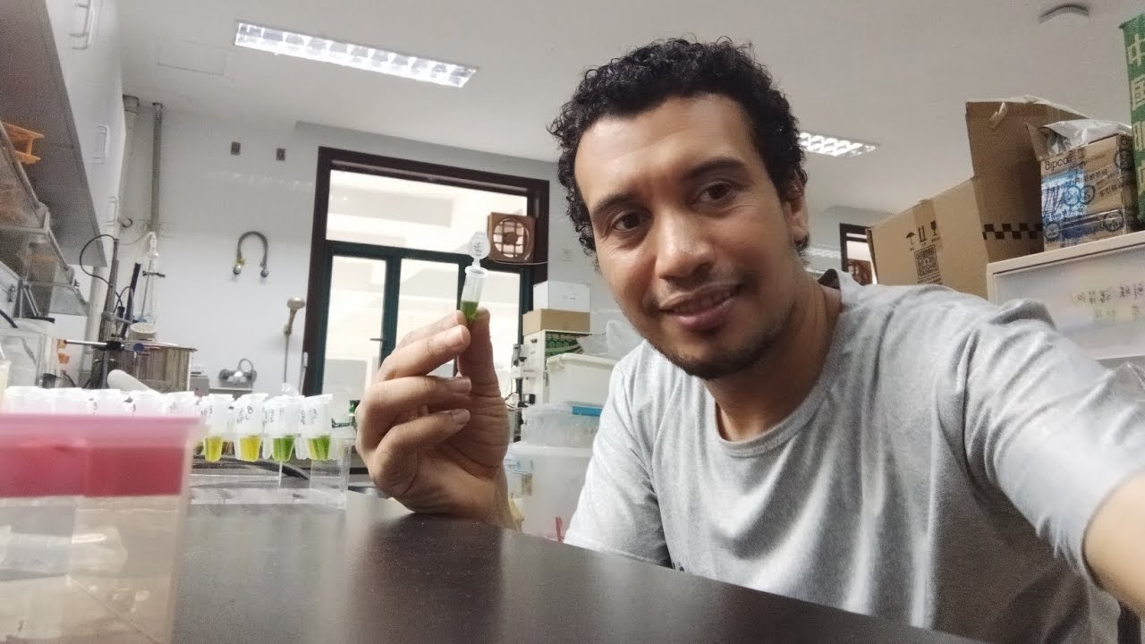 تقدير البروتينات في النبات باستخدام طريقة لوري Lowery's method for protein determination