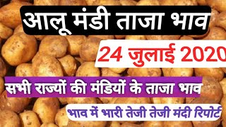 24 जुलाई आलू मंडी ताजा भाव,Potato rate today, potato price today, आलू के भाव में तेजी, potato market