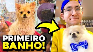 LEVAMOS O MANJERICÃO PRA TOMAR O PRIMEIRO BANHO! | Dearo e Manu