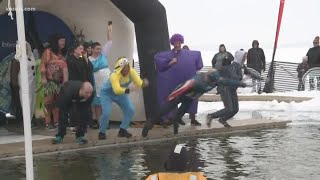 White Bear Lake 'Polar Plunge' raises money for Special Olympics