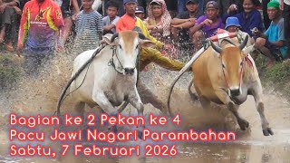 PACU JAWI PARAMBAHAN❗ Sabtu, 7 Februari 2026 Bagian ke 4❗Sawah Batu Tagak Sawah Sitaluak Parambahan