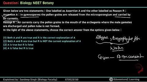 Given below are two statements : One labelled as Assertion A and the other labelled as Reason R :Ass