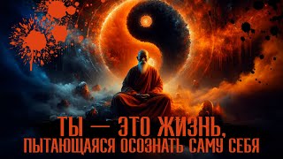 ☯ Ты — это Жизнь, пытающаяся Осознать саму себя | Коаны Сознания  [NikOsho]