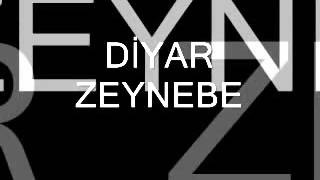 Hozan Diyar Zeynebe Resimi