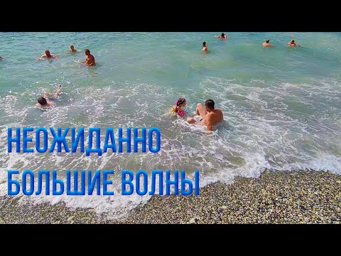 Вдруг появились неожиданно