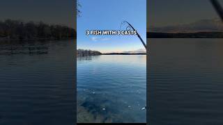 Catching 2 Northern Pike and 1 Bass In My Backyard