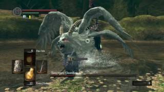 Dark Souls: Sanctuary Guardian SL20