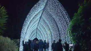 Lightscape 2026 Melbourne Botantic Gardens