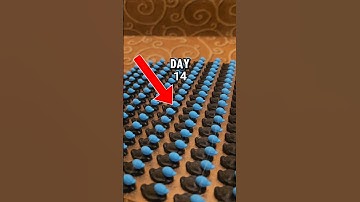 3D Printing A Duck For Every NEW Subscriber Day 14