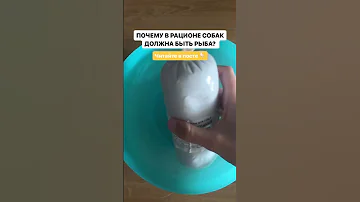 Почему в рационе собак обязательно должна быть рыба? Читайте в посте. Обзор рациона с рыбой ⬇️