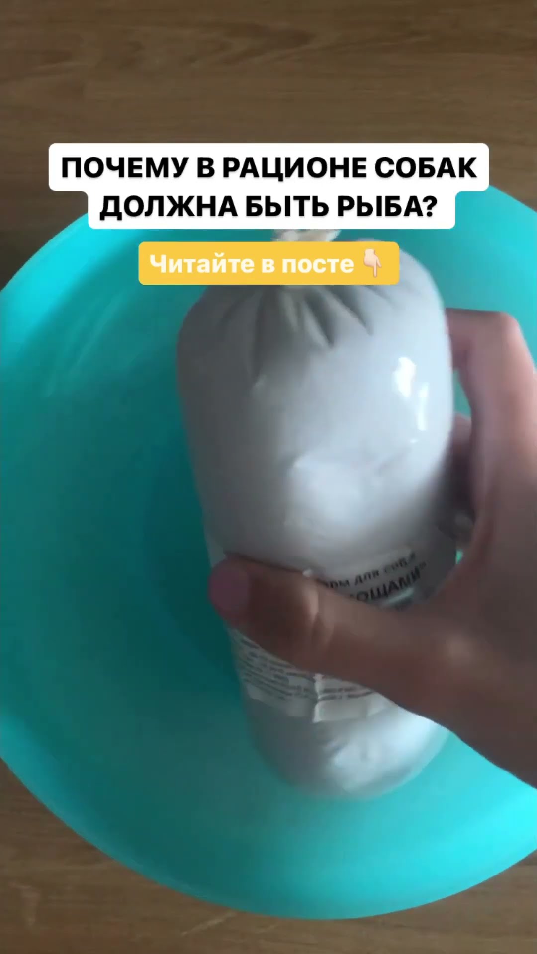 рыба для корма для собак