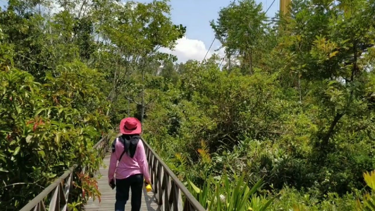 Tempat Wisata di Kalsel, Taman Wisata Alam Pulau Bakut