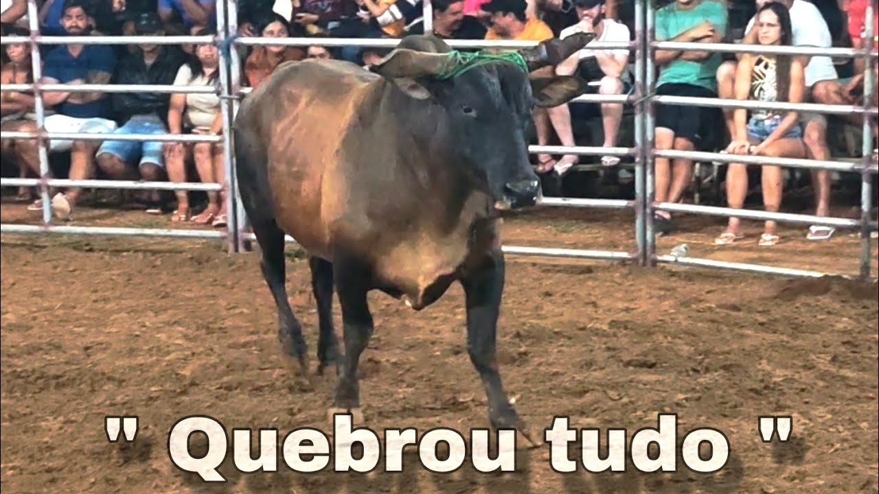Touro 