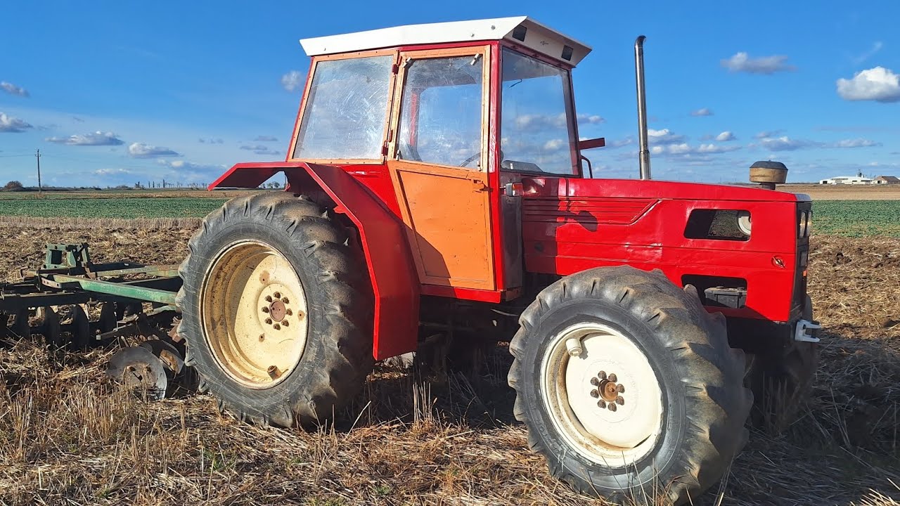 Am fost la discuit cu samele!