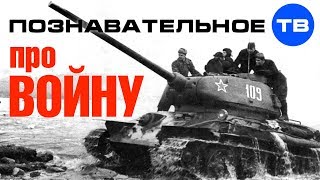 Познавательные видео про ВОЙНУ (Познавательное ТВ) Познавательные видео про ВОЙНУ (Познавательное ТВ)