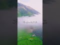ي ا ع يس ى اب ن م ر ي م شعبان الصياد