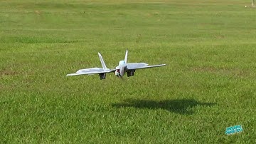 RC F-22 Foam Scratch Built Fast Jet