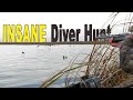 Insane diver duck hunting action