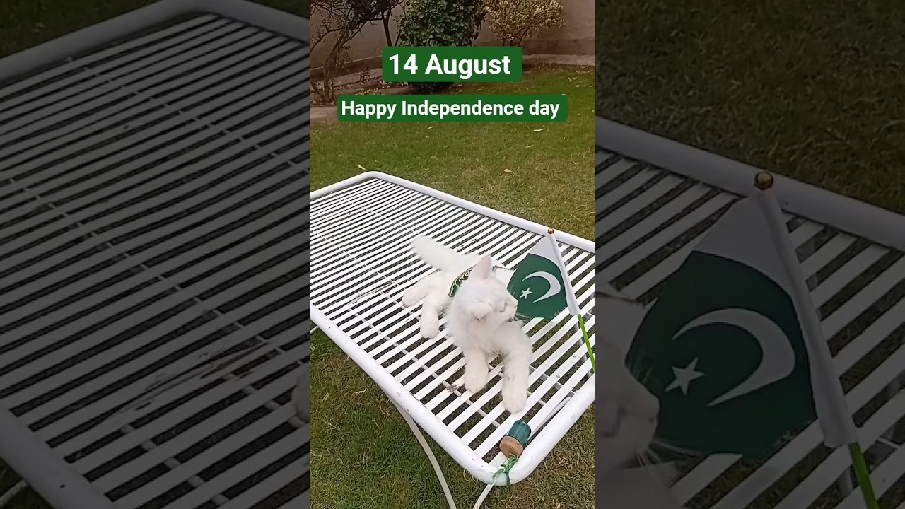 Happy Independence day 14 August 