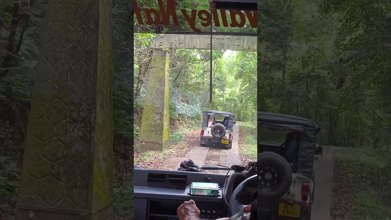 Some views from the Silent Valley Forest Safari