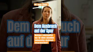 🕵️‍♀️ Spurensuche: Welches Lebensmittel war für den aktuellen Salmonellen-Ausbruch verantwortlich?