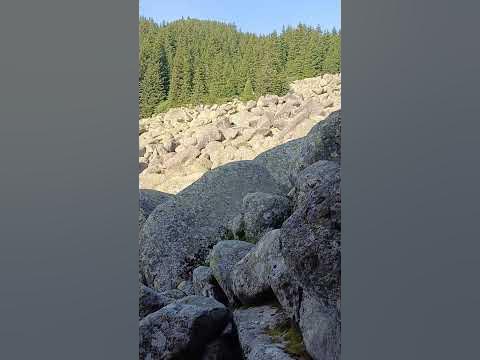Морените /Златните мостове/-Витоша🌲 - YouTube