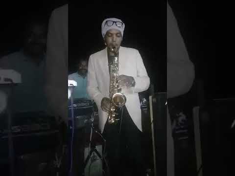 حماده تجاني حفلة الغابه دراو