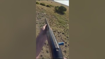 Hunting hogs From Helicopter  #hunting