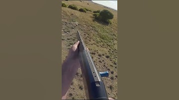Hunting hogs From Helicopter  #hunting