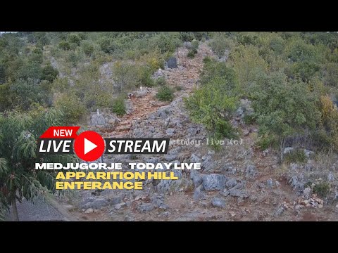 Apparition Hill Main Entrance live cam preview